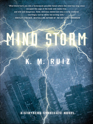 cover image of Mind Storm